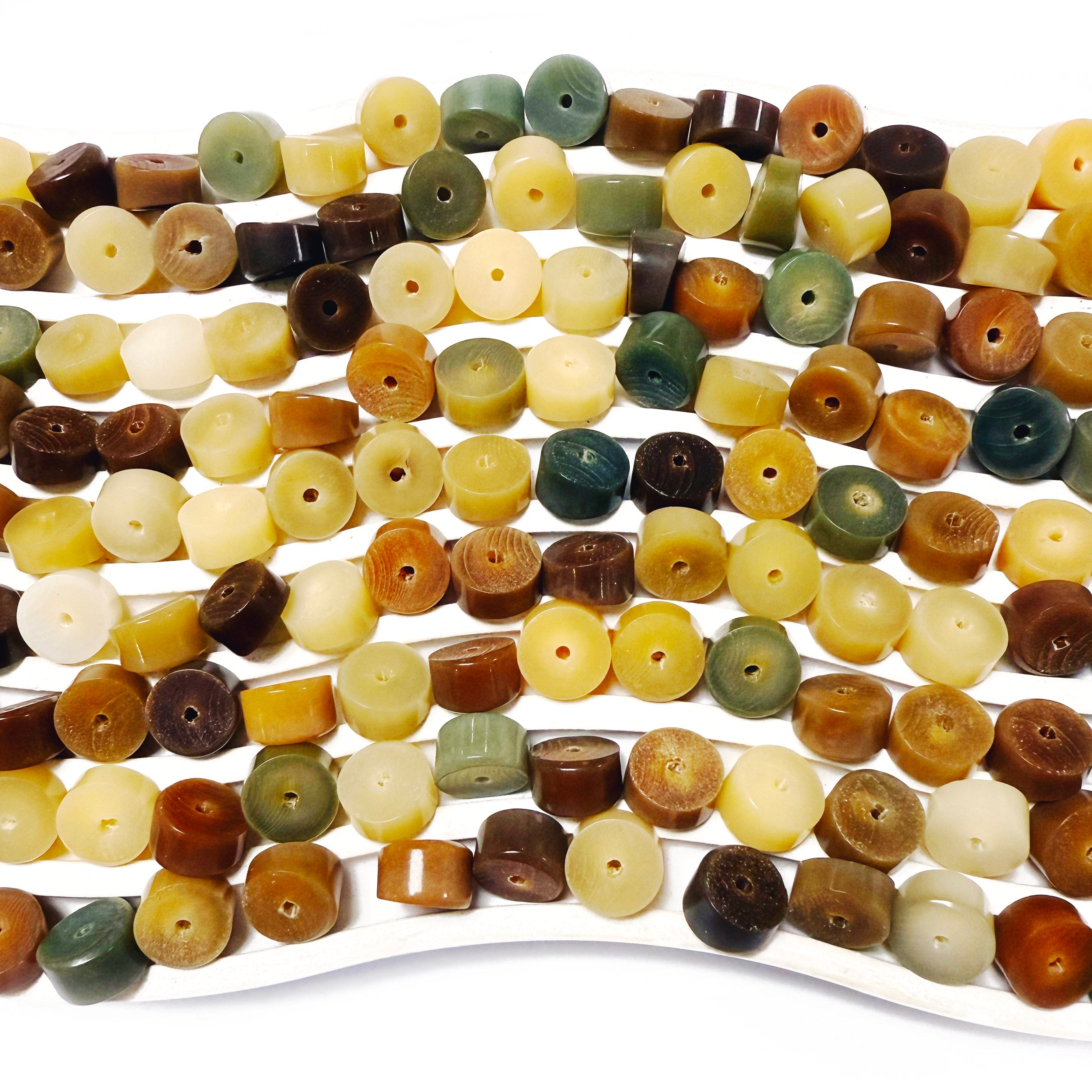 L670]Fusion Fromage Bodhi