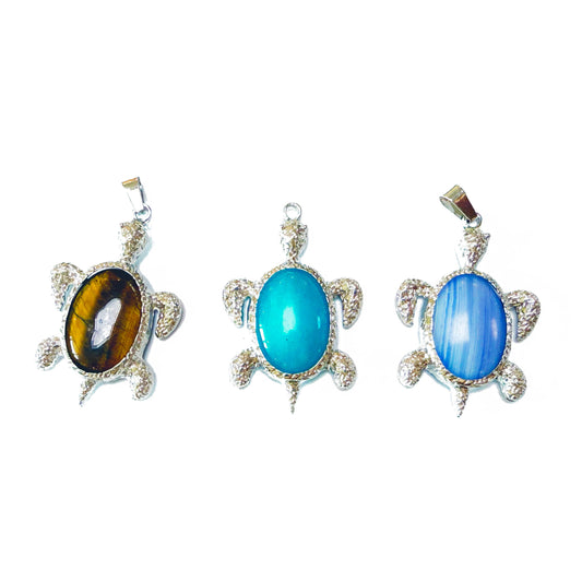 L681]Tortue de Cristal