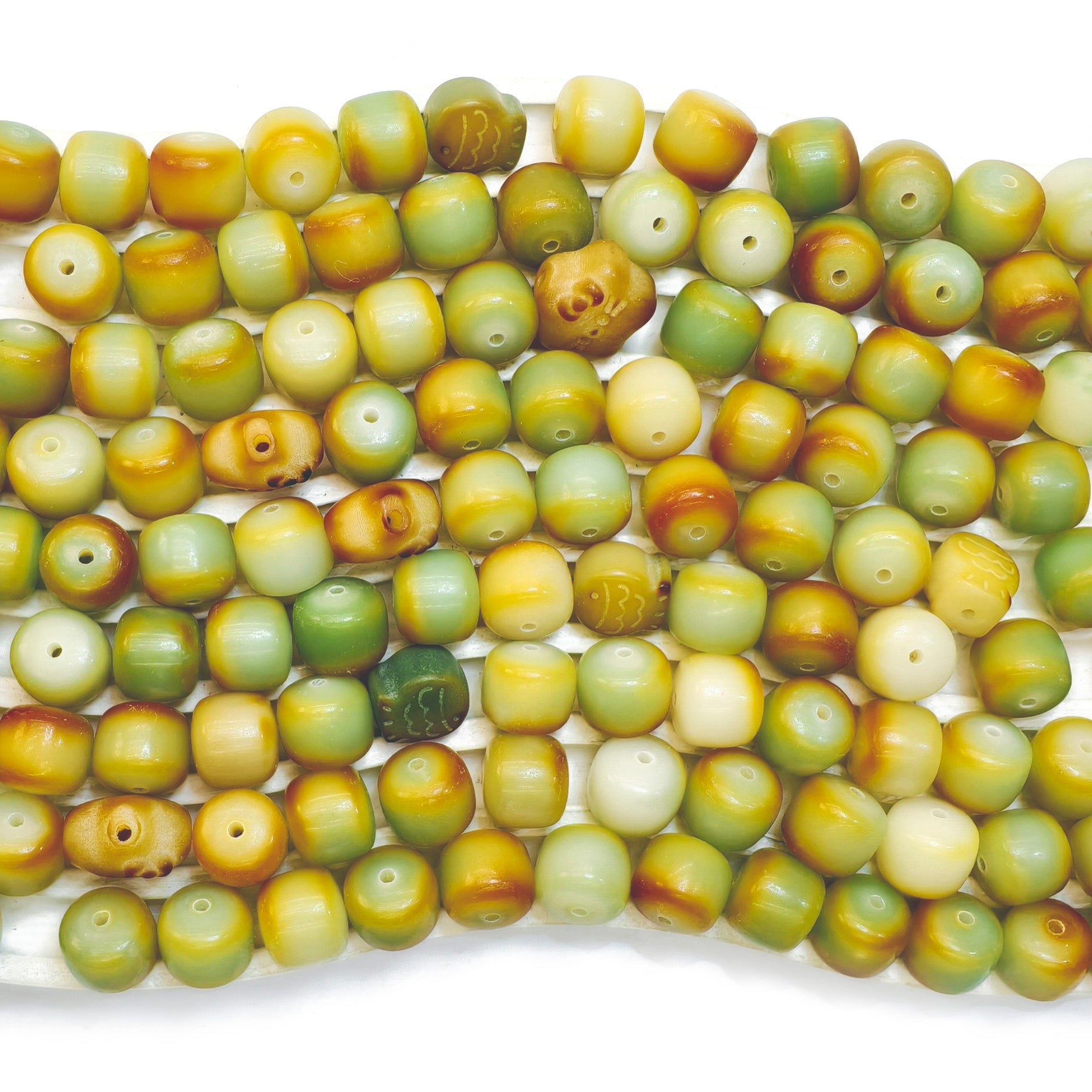 BOGO]Bodhi Bosquet Ensoleillé