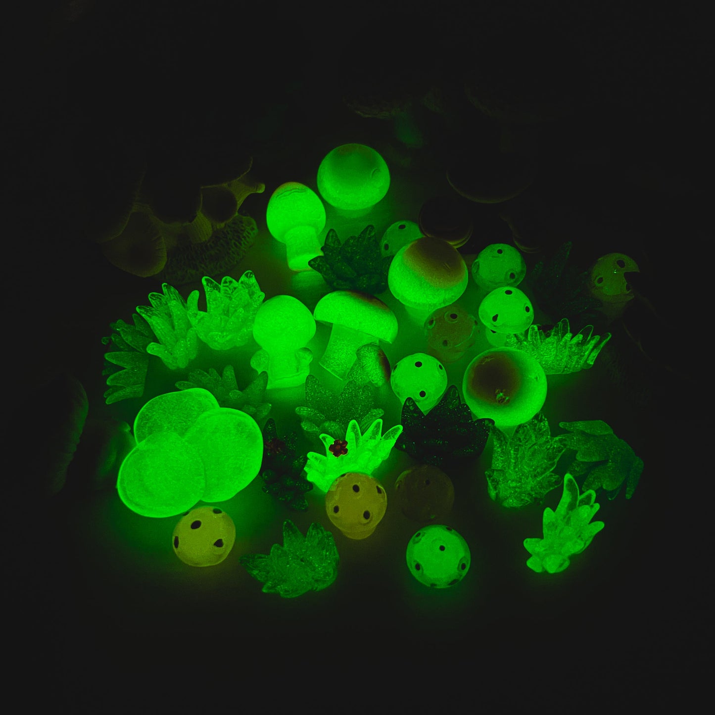 L61]Champignon Glow