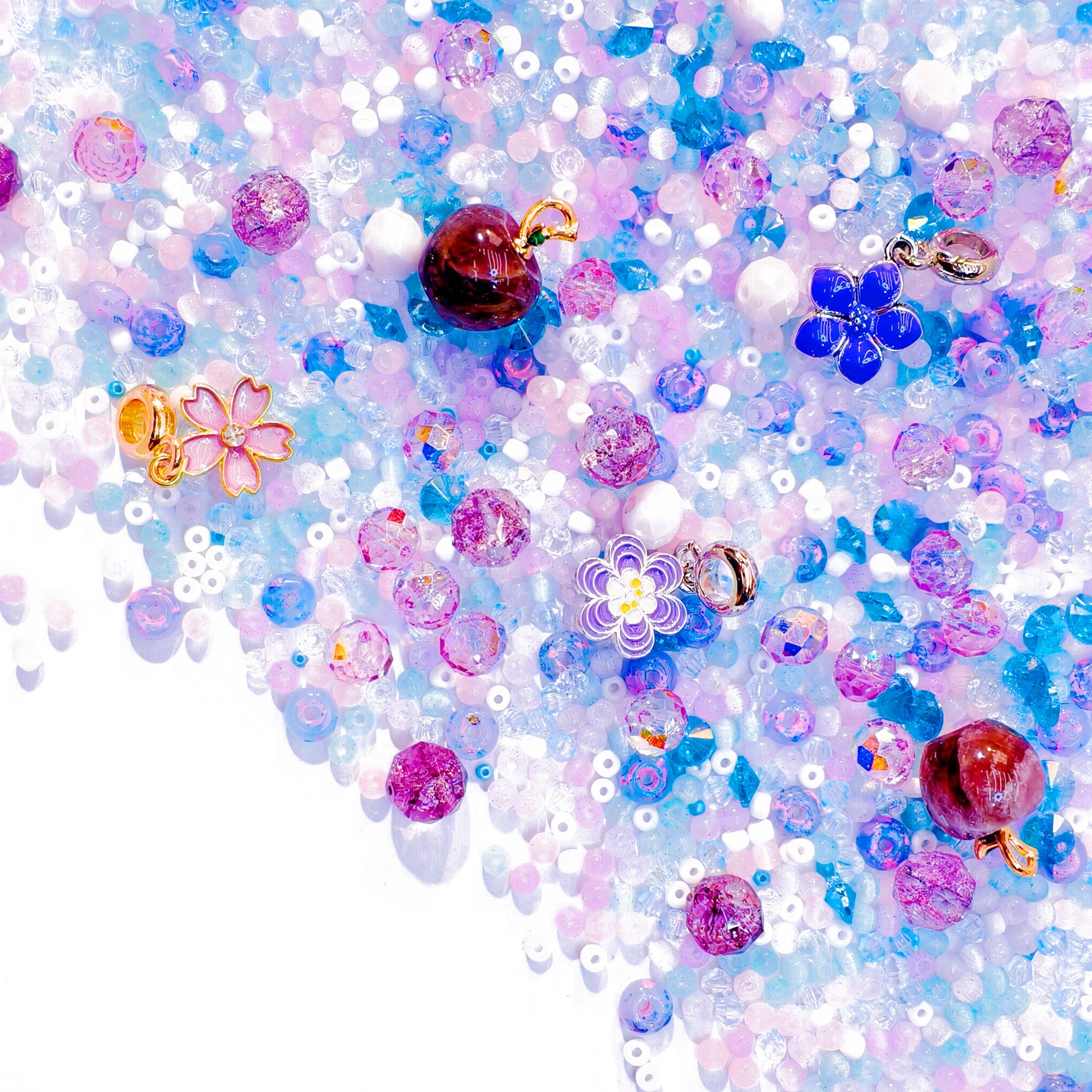 B379]Disques Hortensia