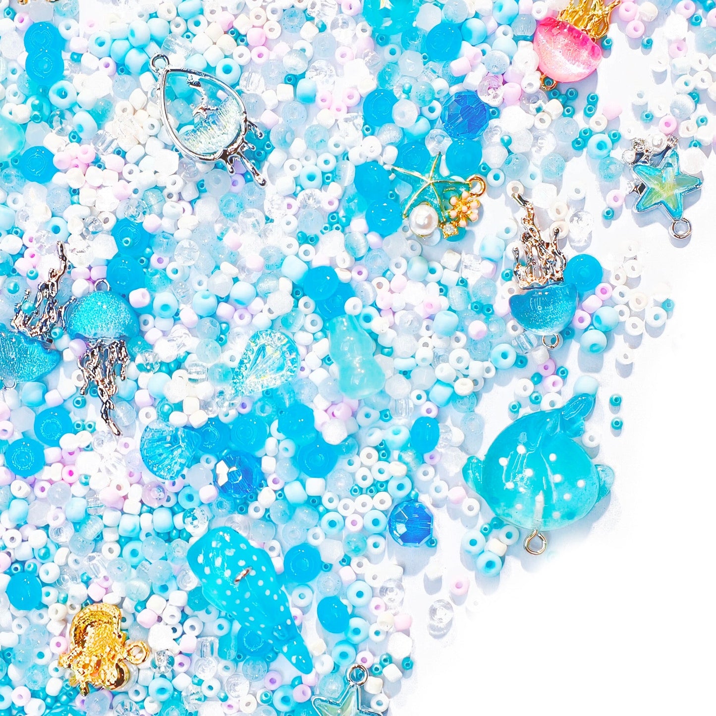 B401]Petit Écho Océan