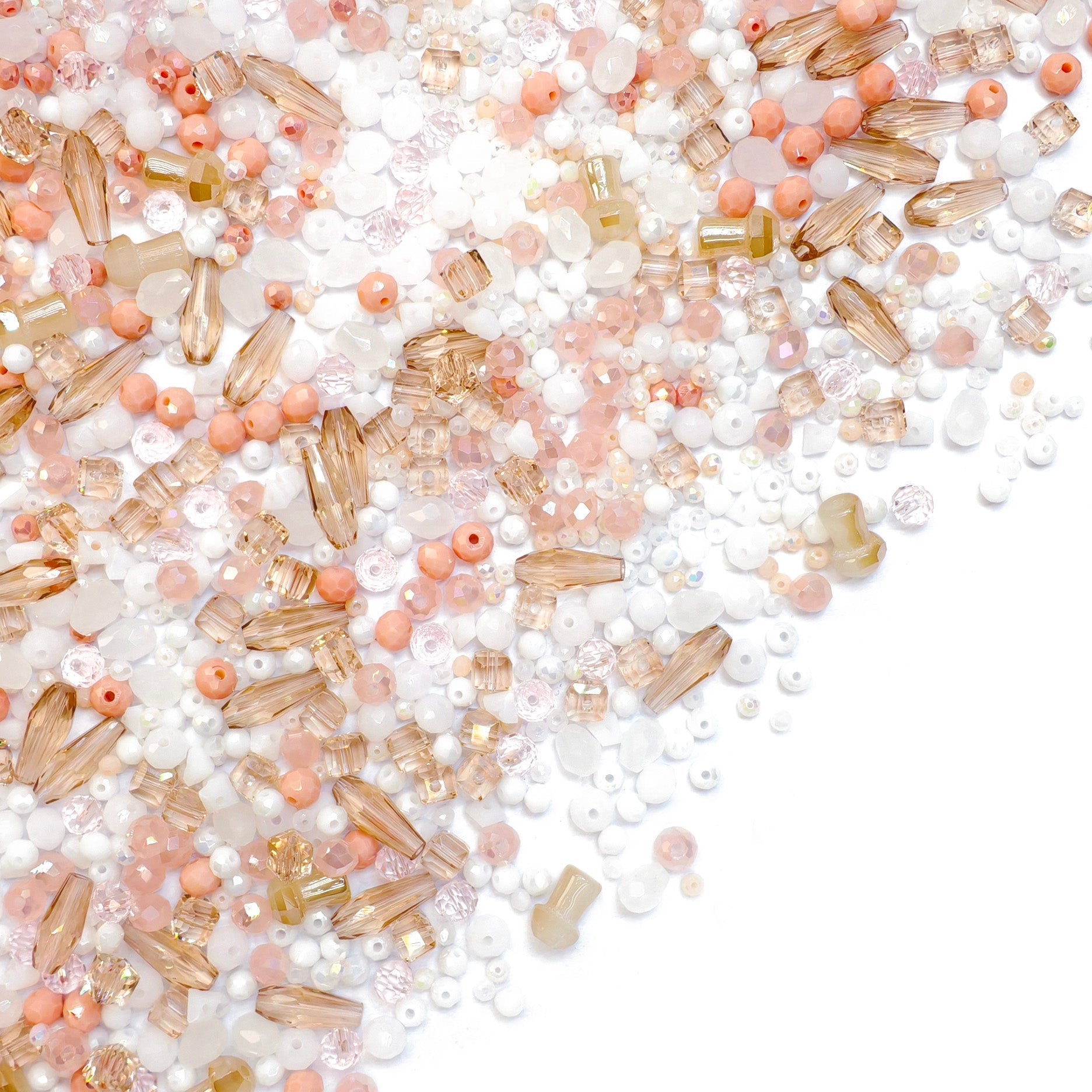 L901]Petit Élégance