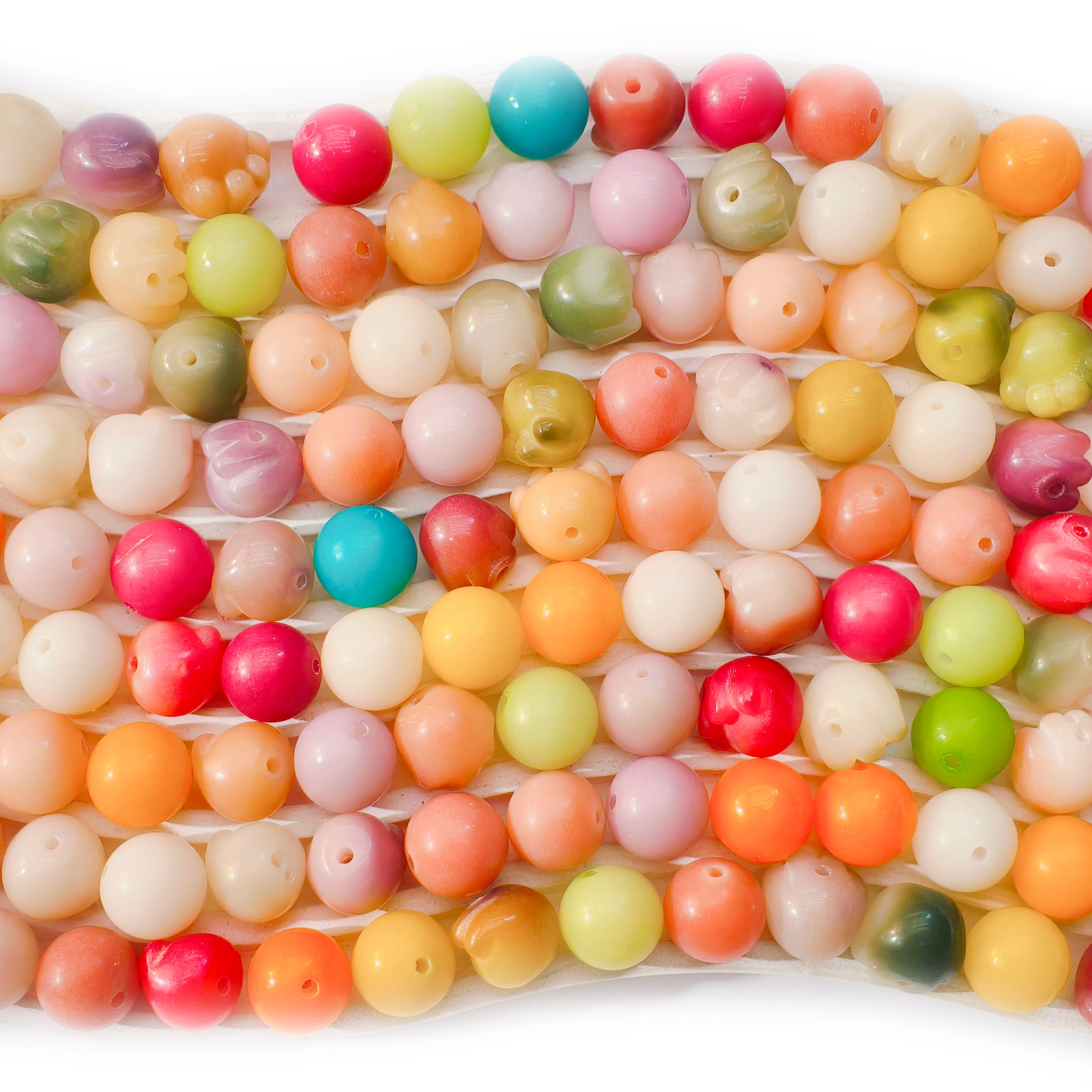 BOGOL747]Bodhi Patte 2.0