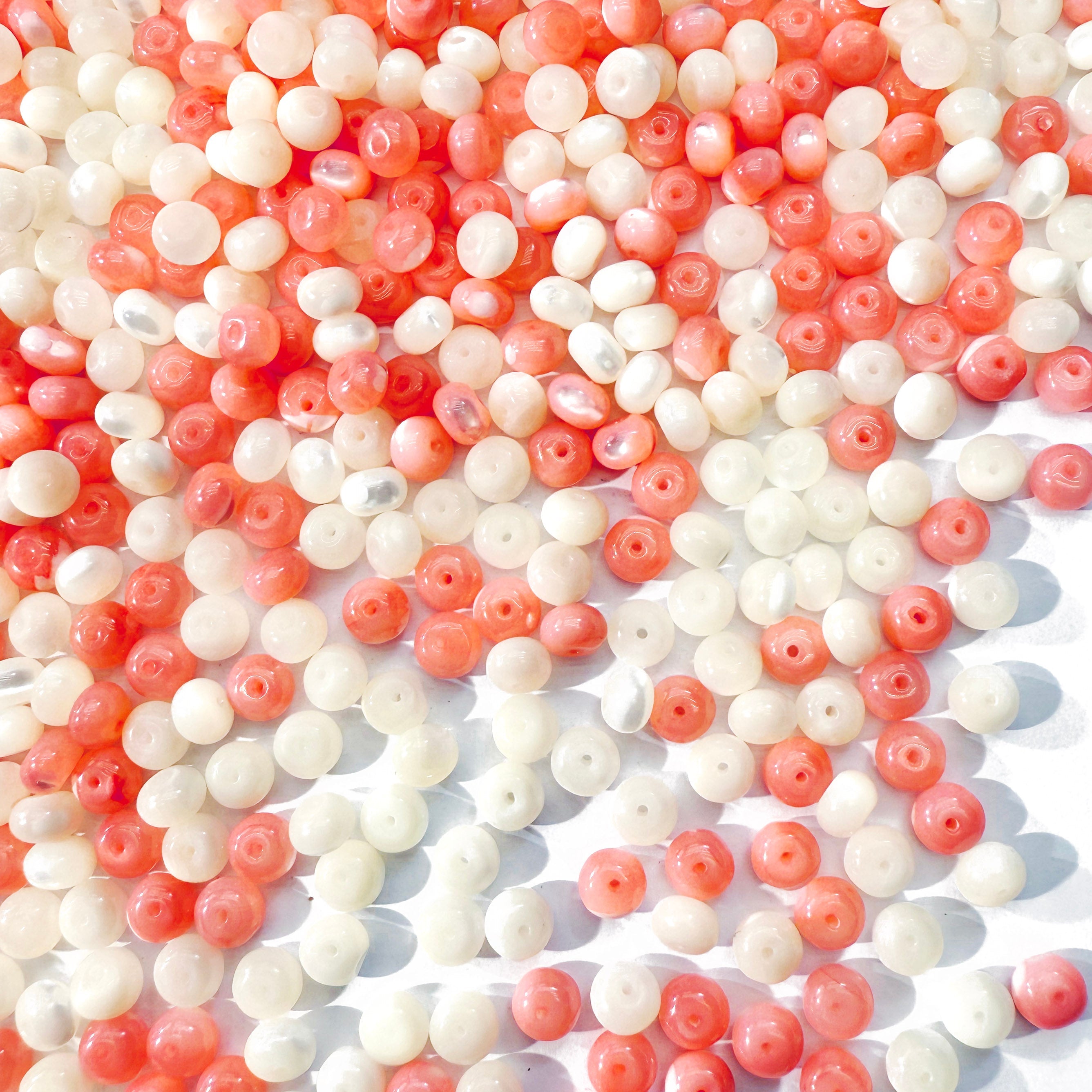 L572]She Sells Seashell 2.0